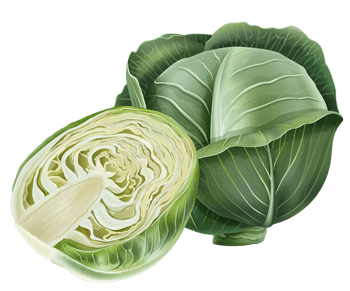 Annachi Poo 50gm – naturebasketsupermarket.com
